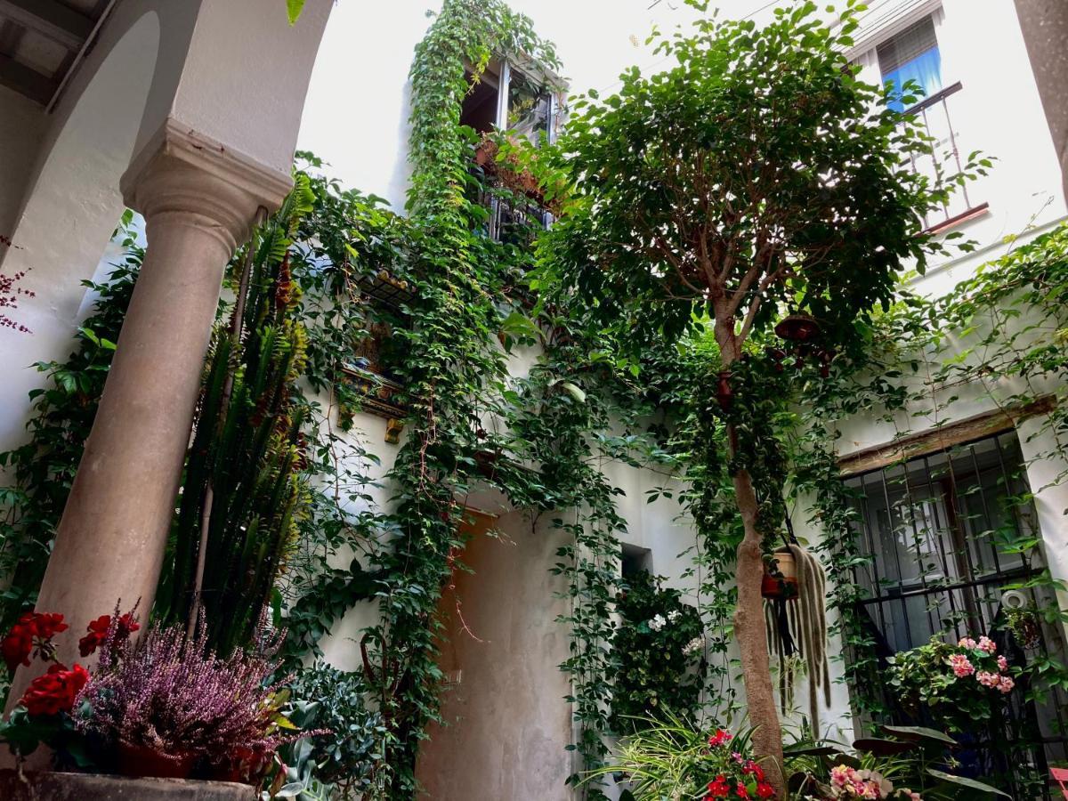 Casa De Huespedes Santa Maria (Adults Only) Ξενοδοχείο El Puerto de Santa María Εξωτερικό φωτογραφία