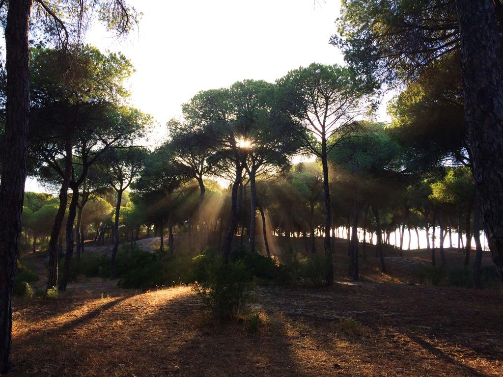 Casa De Huespedes Santa Maria (Adults Only) Ξενοδοχείο El Puerto de Santa María Εξωτερικό φωτογραφία